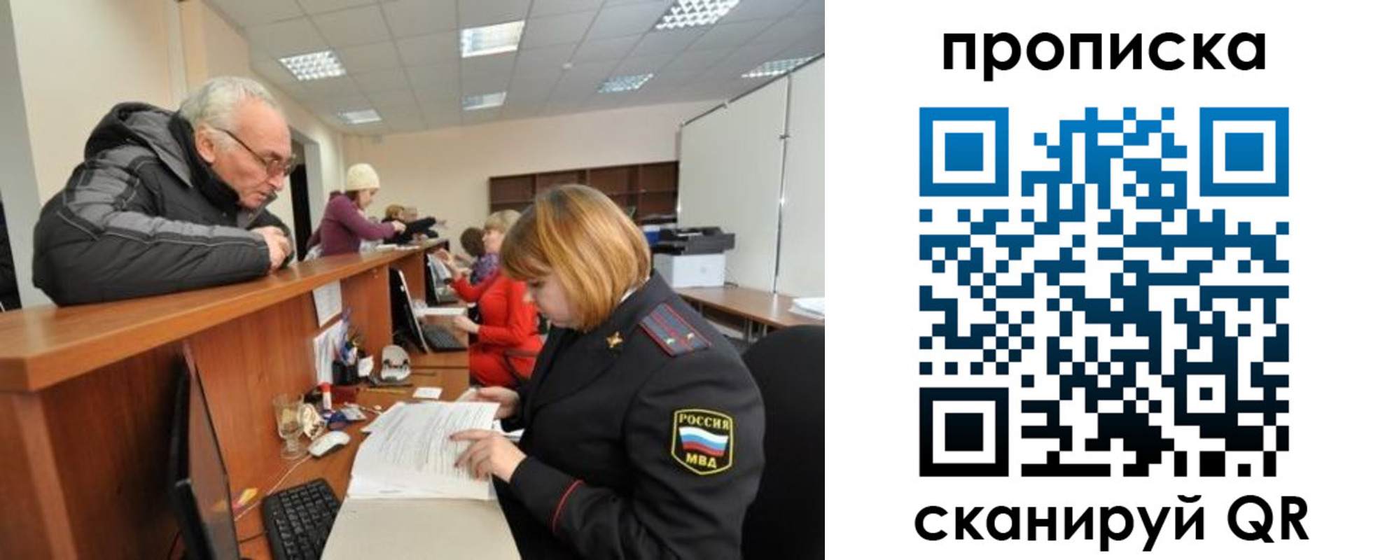 прописка поиск в Пионерском