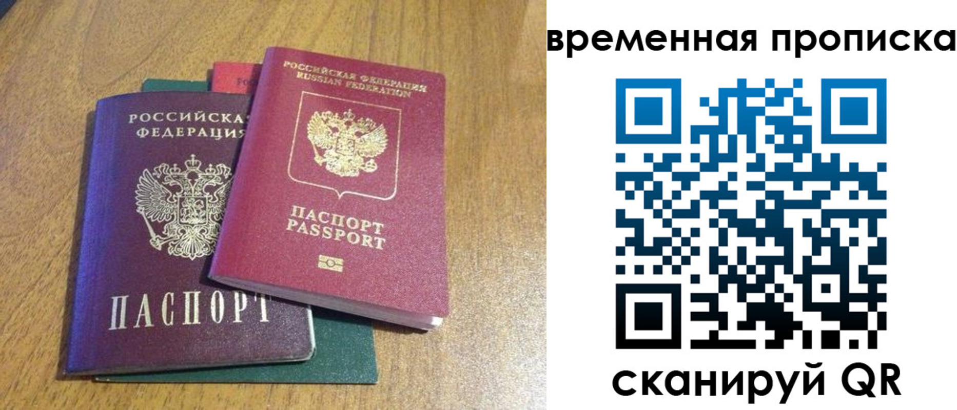 прописка законно в Пионерском